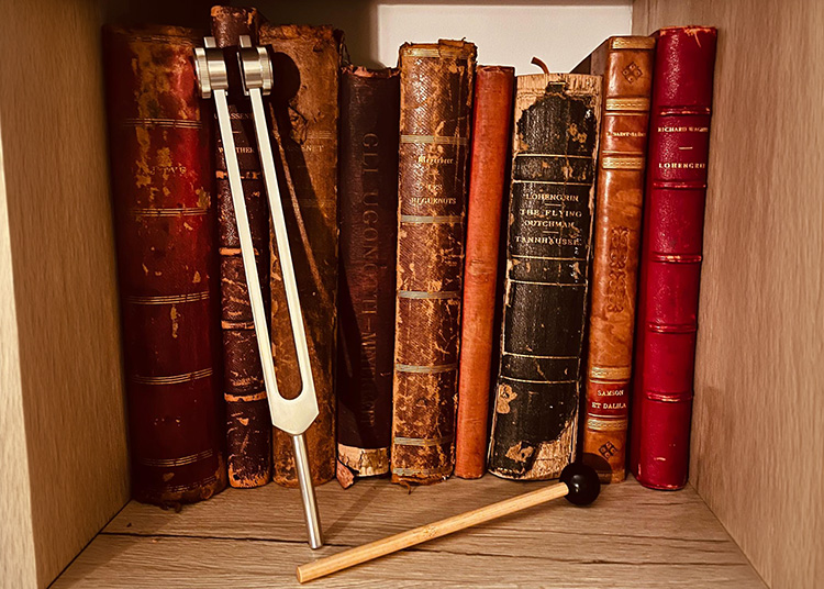 Integrated-voice-and-energy-session