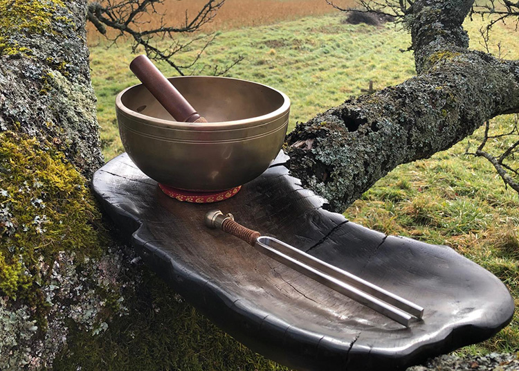 Reiki-and-sound-healing